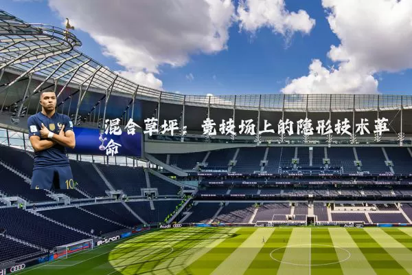 混合草坪:竞技场上的隐形技术革命